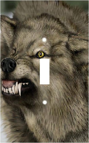 Growling Wolf Decorative Switchplate Cover