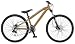 09 Ruckus DX Bike