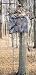 Family Tradition Double Camouflage Skirt