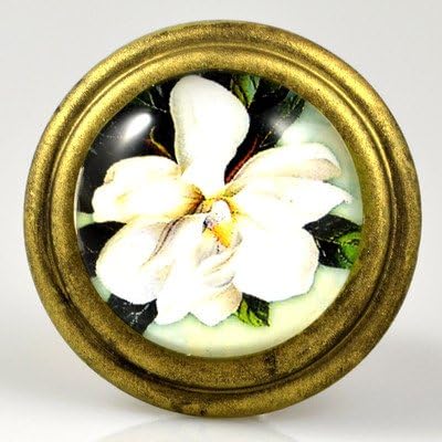 1.5" Mushroom Knob [Set of 4]