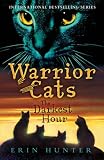 The Darkest Hour (Warrior Cats)