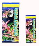 antigreen 100 ml