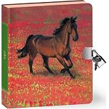WildHorseLock&KeyDiary-3711