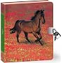 3711-Horse Lock & Key Diary