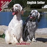 2009 English Setter Wall Calendar