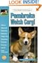 The Guide to Owning a Pembroke Welsh Corgi