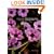 Hardy Geraniums: The Complete Guide to the Genus