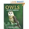 Owls of North America