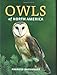 Owls of North America