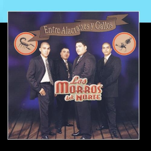 Los Morros Del Norte - Entre Alacranes y Gallos - Zortam Music
