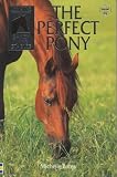 The Perfect Pony (Usborne Sandy Lane Stables)