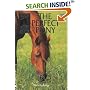 The Perfect Pony (Usborne Sandy Lane Stables)