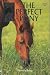 The Perfect Pony (Usborne Sandy Lane Stables)