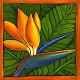 Bird of Paradise by Catherine Becker-Gallery Wrapped, Stretched Canvas Oil Painting-Size 10x10