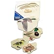 BELEDUC Duck Life Cycle Five Layer Puzzle