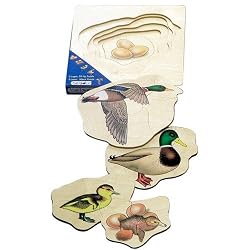 BELEDUC Duck Life Cycle Five Layer Puzzle