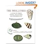The Mollusks: A Guide to Their Study, Collection, and Preservation