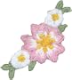 Boutique Iron-On Appliques - Pink & White Flowers