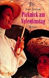 Picknick am Valentinstag: Roman