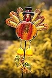 IMAGE OF Thanksgiving Turkey Garden Stake, 3 Assorted: