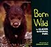Born Wild in Glacier National...