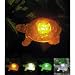 Solar Turtle with color light change in rotation at night