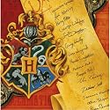 Harry Potter Beverage Napkins 16ct