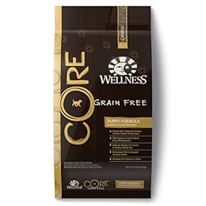 Wellness CORE Natural Grain Free Dry Dog Food, Puppy Health Chicken & Turkey Recipe, 26-Pound Bag