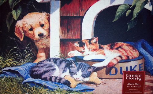 Door Mat - Puppy & Kittens - 18" x 30" (45cm x 76cm)