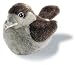 Audubon Birds: House Wren
