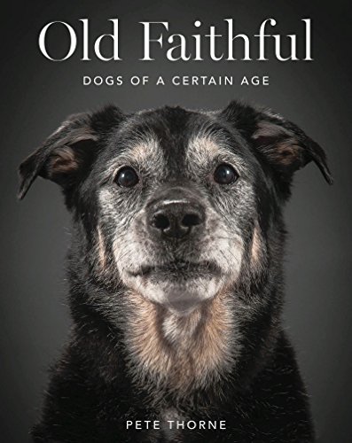 Old Faithful: Dogs of a Certain Age Old Faithful: Dogs of a Certain Age
