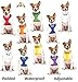 FRIENDLY Dexil Friendly Dog Collars Color Coded Dog Accident Prevention Leash 4ft/1.2m Prevents Dog Accidents By Letting Others Know Your Dog In Advance Award Winning