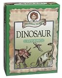 Professor Noggin Dinosaurs Card Game