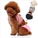 モンキーベスト付犬用サニタリーパンツ(生理パンツ) ブラック 2号