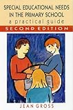 Special educational needs in the primary school : a practical guide