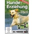 Hundeerziehung mit System: Welpe und Junghund