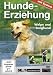 Produkt-Bild: Hundeerziehung mit System: Welpe und Junghund