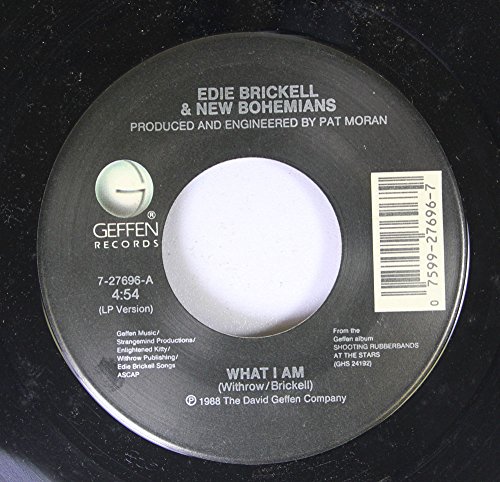 Edie Brickell & New Bohemians - What I Am - Zortam Music