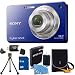 Sony Cyber-Shot DSC-W560 14.1 MP Digital Still Camera with Carl Zeiss Vario-Tessar 4x Wide-Angle Optical Zoom Lens and 3.0-inch LCD (Blue) Bundle Includes DSC-W560 (Blue) 8 GB Memory Card, Battery, Camera Carrying Case, Memory Card Reader, Mini Tripod, an