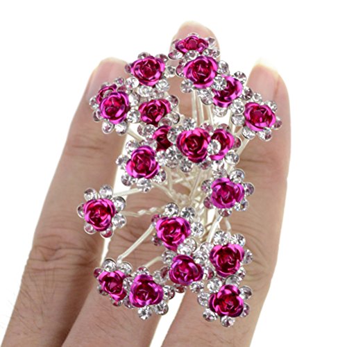 Rbenxia Bridal Wedding Crystal Hair Pins Bridal Prom Clips Pack of 20pcs C Rbenxia Bridal Wedding Crystal Hair Pins Bridal Prom Clips Pack of 20pcs C