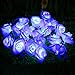 Homdox 2M 20 LED Seasonal Decoration Rose Flower Fairy String Lights for Wedding Christmas Holiday Party Decor valentine lights string (Blue)