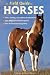The Field Guide to Horses by Samantha Johnson