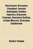 Ruscaceae: Dracaena Cinnabari, Semele Androgyna, Rohdea Japonica, Dracaena Fragrans, Dracaena Reflexa, Liriope Muscari, Dracaena-