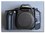 Canon EOS Elan 7 E Date 35mm SLR Camera (Body Only)