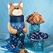 Gourmet Food : Chanukah Bear