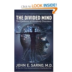 The Divided Mind: The Epidemic of Mindbody Disorders