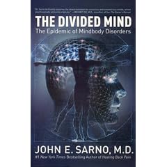 The Divided Mind: The Epidemic of Mindbody Disorders