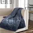 ComfortTech 3M Thinsulate Albany Microfiber Twin Blanket, Blue