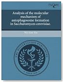 Analysis of the molecular mechanism of autophagosome formation in Saccharomyces cerevisiae.