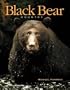 Black Bear Country